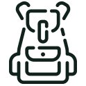 Sammeltransfer